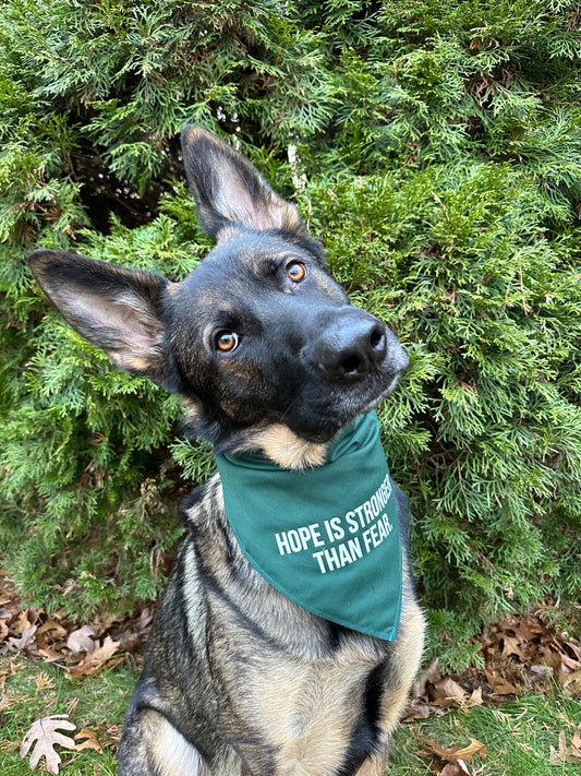 Dog Bandana